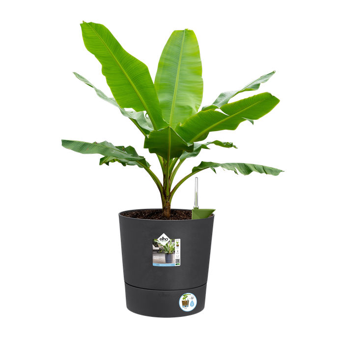 greensense aqua care rond 35cm gris charbon